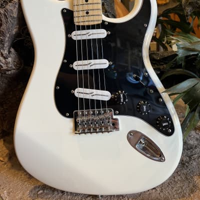 Fender Stratocaster Partscaster Build w/ Hard Shell Case image 3