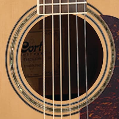 Cort Earth100 Natural Solid Spruce Top Mahogany Bone Dreadnought Acoustic Guitar image 4