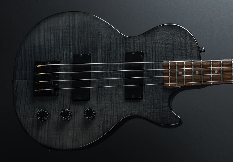 Epiphone Les Paul Special Bass 2006 - 2015