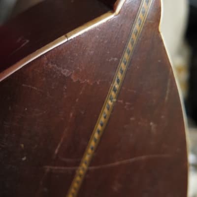 RARE vintage 1910 Victoria (Oscar Schmidt) flat-back mandolin New York / luthier project image 24