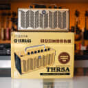 Yamaha THR5A 10W Portable Acoustic Guitar Amplifier w/ Box & Power Adaptor - Used