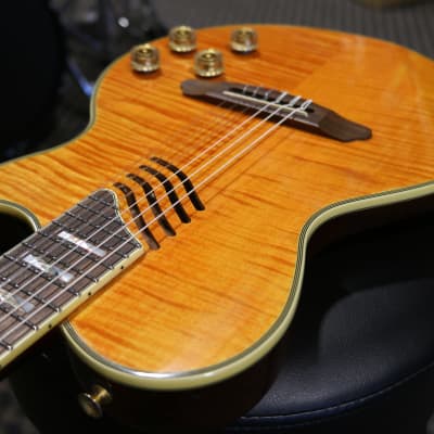 Aria Pro II PE-CLASSIC 1985 Thinline Nylon | Reverb Canada