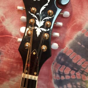 Aria AM-400BS マンドリン Aria Am-400Bs Mandolin | eBay