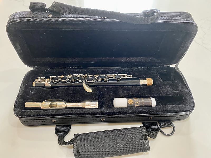 Mendini by Cecilio Piccolo Piccolo Silver Reverb