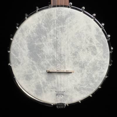 Gold star prospector banjo hotsell