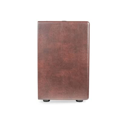 Kustom Sienna 30 Pro | 30-Watt 1x10" Acoustic Guitar Combo. New with Full Warranty! image 6