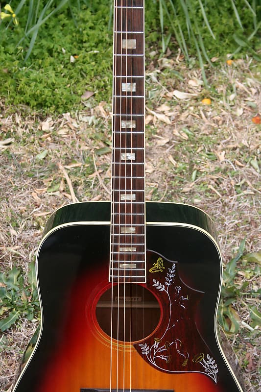 Early 1970's Canda 202 Hummingbird Model MIJ by Fujigen Gakki+Old