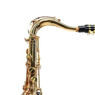 Elkhardt Tenorsax Super Deluxe image 7