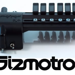 Gizmotron 2.0 Guitar - Black image 1