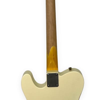 Nash T-2HB w/ Lollartrons, 2022 Olympic White, Pine body, Light Relic. NEW (Authorized Dealer) image 11