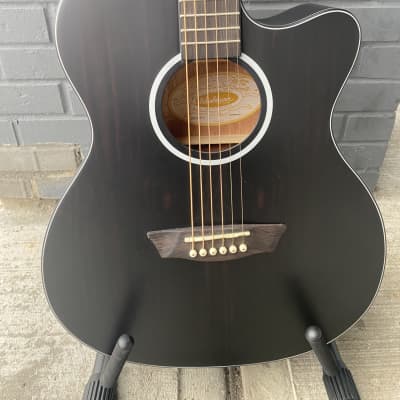 Washburn DFEACE-A-U Deep Forest Ebony Ace Acoustic Guitar for sale