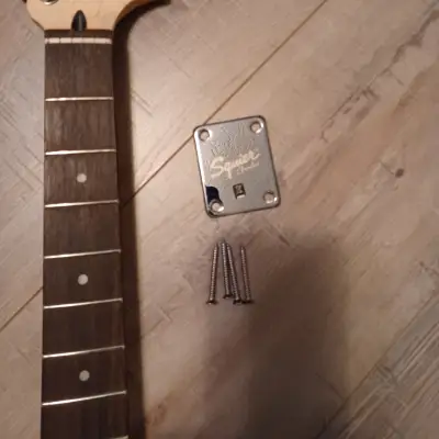 Fender Squier image 1