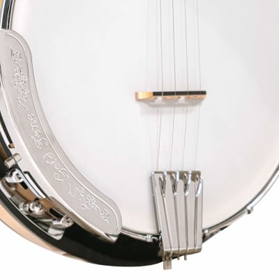 Gold Tone CC-Plectrum Cripple Creek Plectrum 4-String Banjo w/Gig Bag image 5