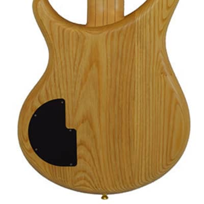 Alembic Excel 5 Quilted Maple - SHOWROOM image 3