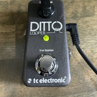 TC Electronic Ditto Looper Effects Pedal Used image 1