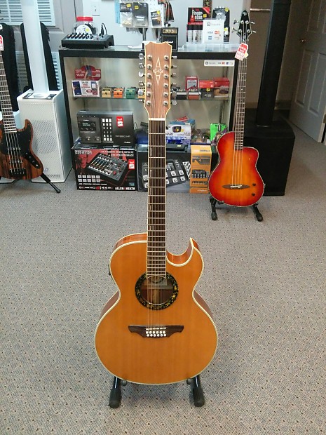 Alvarez Silver anniversary 12 String Model# 255512 | Reverb