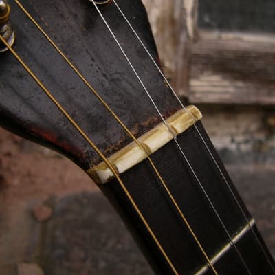 Antique Tenor guitar ca. 1920 imagen 17