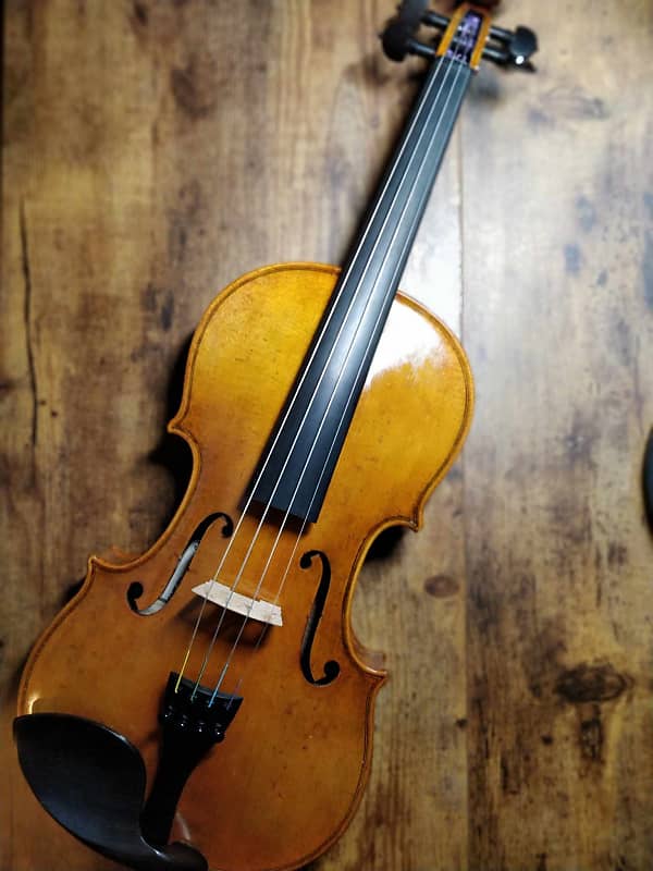 Rl ray store violin