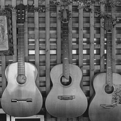 K Yairi KY CYTM BK (2023) 61534, Acoustic Parlour. Dominic Miller's favourite guitar image 10