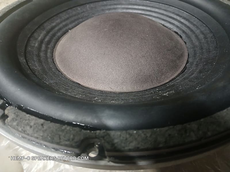 Bose AWSC1 Acoustic Wave BASS Cannon SUBWOOFER 12" Reverb UK