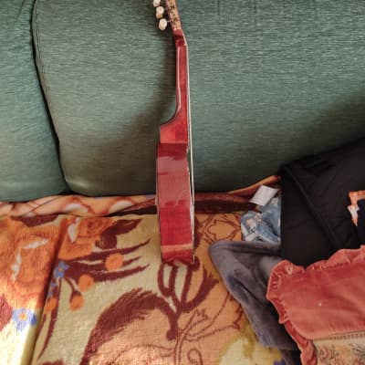 Mandolino Banjo Marma image 8