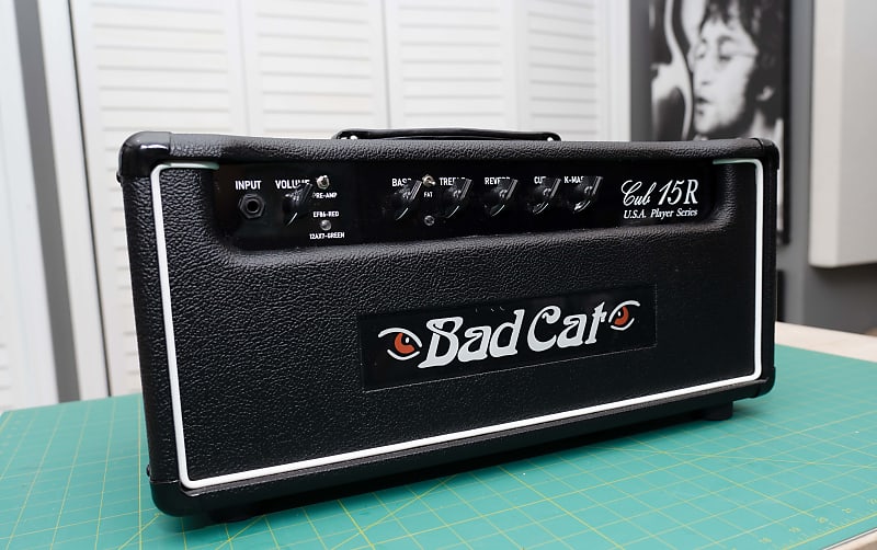 Bad Cat Cub 15R USA Player Series 15-Watt Guitar Amp Head | Reverb