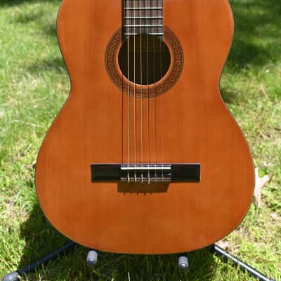 Vintage 1969 Classical Acoustic Guitar - with hardshell case