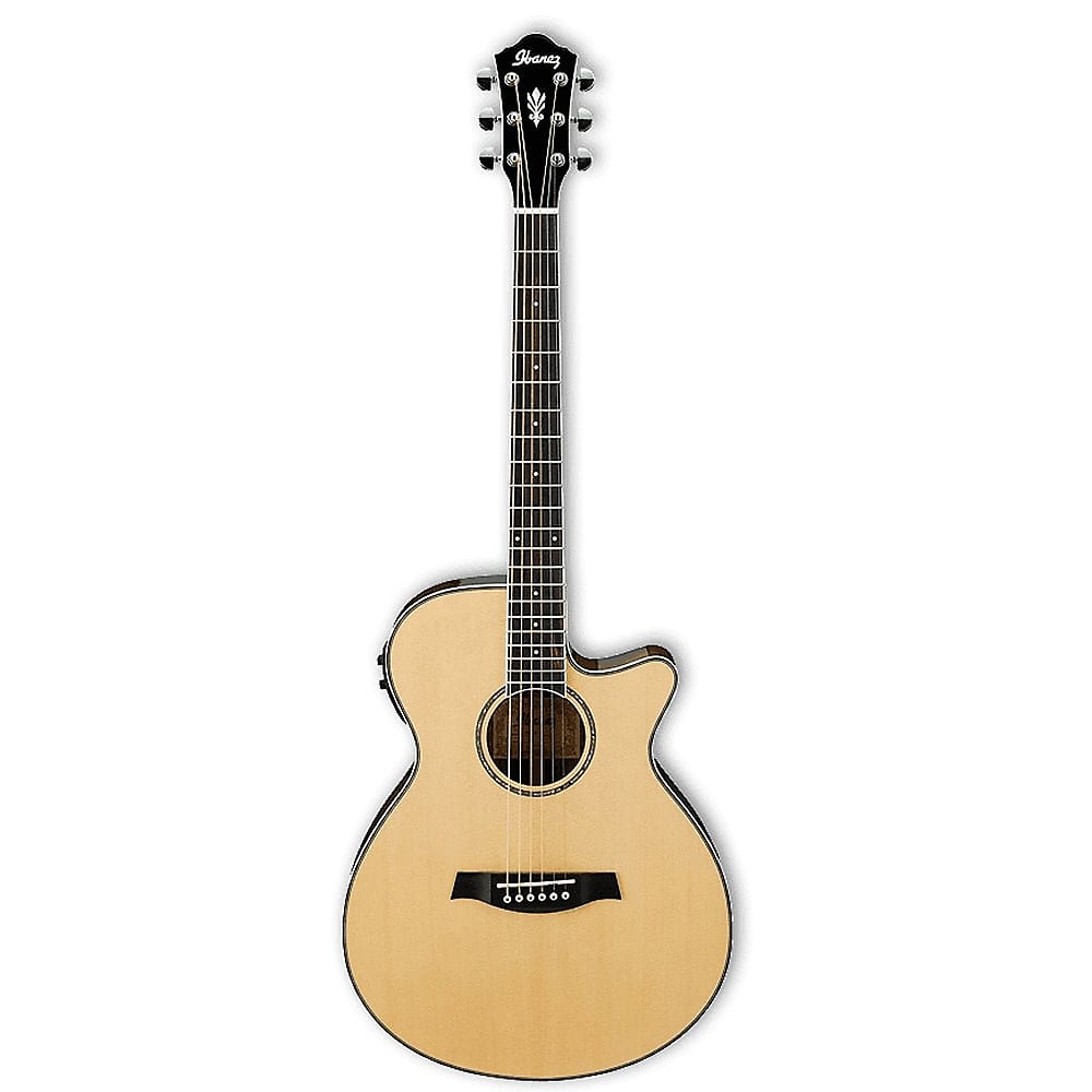最低価格の ☆ Ibanez AEG10II NNB Modified ギター - www.powertee.com
