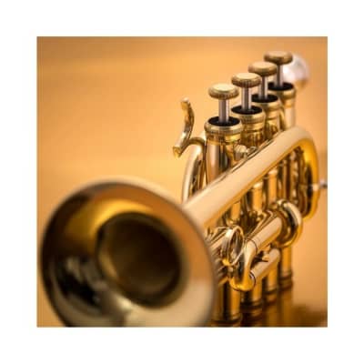 John Packer JP254SW Bb/A Piccolo Trumpet w/Case, Lead pipe & Mouthpiece image 4