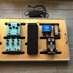 JRIG Pedalboard with Pedaltrain ATA case and pedal bundle image 5