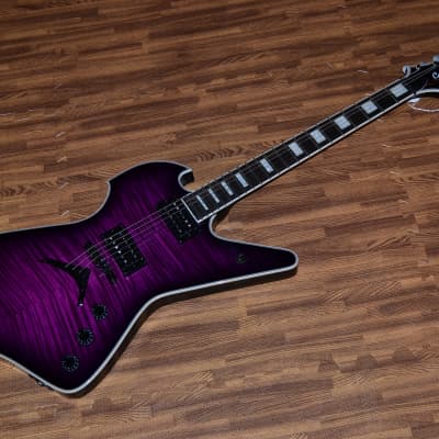 Carlino Identity Custom Trans Purple Burst image 2