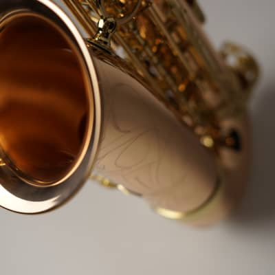 [In Stock]_Freeshipping! Yanagisawa Alto saxophone A WO-2 [AWO2]Bronze Brass Body image 18