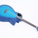 RainSong CO-WS1005NSM  Offset Soundhole 12-Fret Carbon Fiber Grand Auditorium @ LA Guitar Sales