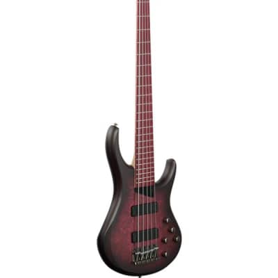 MTD Andrew Gouche Signature AG-5 5-String Bass Smoky Purple Satin image 8