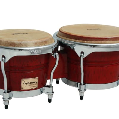 Tycoon Master Grand Series Bongos | Reverb