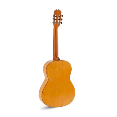 Admira Triana Nylon String Classical Guitar, Maple Back & Sides w/ Spruce Top image 3