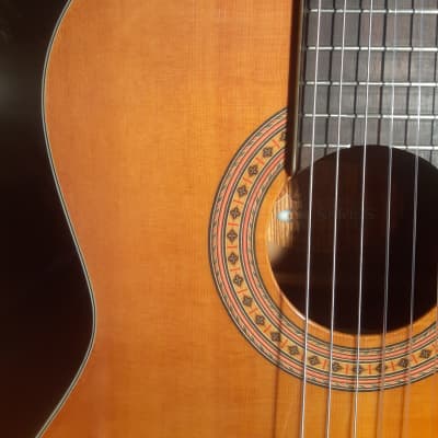 Hohner HC30 Classical Guitar Solid Sitka Top Ovangkol Back and Sides image 13