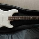 Paul Reed Smith Silver Sky 2018 Frost