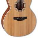 Takamine GN20CE-NS Acoustic/Electric Guitar
