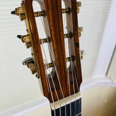 Paul McGill Resonator Guitar Del Vecchio Style image 7