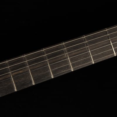 Fender Limited Edition Suona Telecaster Thinline (#224) image 8
