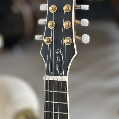 Gold Tone GM-6+ image 4
