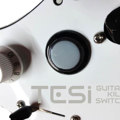Tesi DITO 24MM Arcade Button Momentary Guitar Kill Switch Translucent Black image 1
