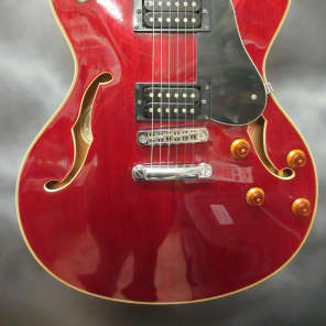 Washburn HB30 Semi Hollow Electric Guitar w Original Hardshell