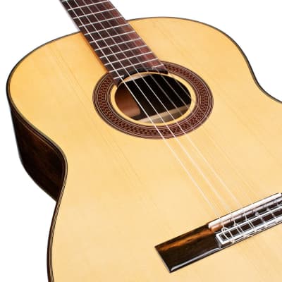 Cordoba C7 SP/IN - Solid Spruce Top/Indian Rosewood back/sides - Classical Nylon String Guitar image 3