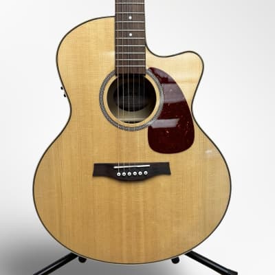Seagull Performer CW Concert Hall Burnt Umber QIT