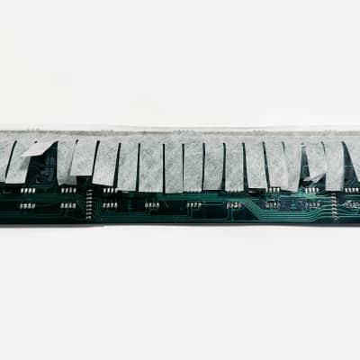 ROLAND JX-10 Synthesizer Original Mid 24-Note Key Contact Board. Works Great !