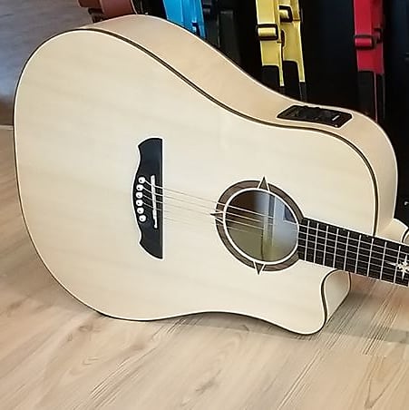 VGS P-10 CE Polaris / Acoustic Guitar image 1