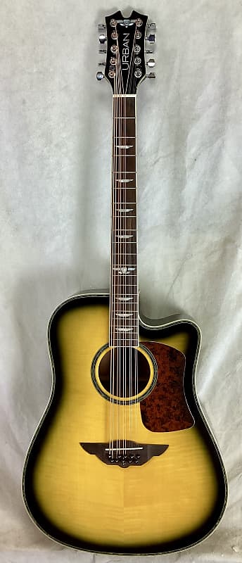 10 string mandocello, cittern prototype conversion of a | Reverb UK