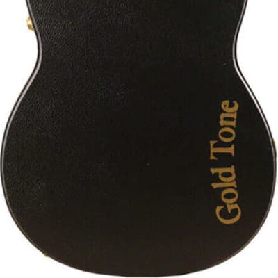 Gold Tone PBR Paul Beard Signature Roundneck Resonator Guitar, Sunburst w/ Case image 4
